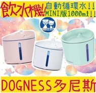 BBUY 多尼斯自動飲水機 MINI 1L  DOGNESS 寵物飲水器 防乾燒技術 循環水 濾棉 1000ml 犬貓用