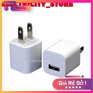 World Chip 5V 1A USB charger