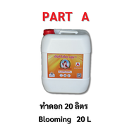 ปุ๋ยน้ำ AB  ทำดอก ทำใบ  20 ลิตร Hydro / coco