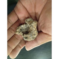 Natural stone collection of collectors 28