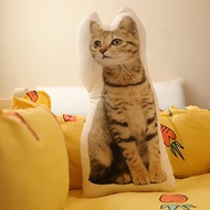 可加購快件 寵物 照片 客製化 抱枕 枕頭 狗 貓 鳥 人物 情侶 禮