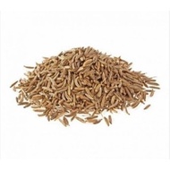 Cumin Cumin/ 100g