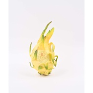 (PreOrder 28/7/2022) Israel Yellow Dragon Fruit / Buah Naga Kuning Isreal