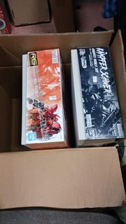 Bandai Kämpfer Schwer RG 沙薩比 模型