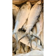 FRESH FROZEN(BANGUS)