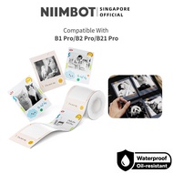 NIIMBOT Grayscale Photo Label for B1 Pro, B2 Pro, B21 PRO, Waterproof Sticker Paper for Scrapbook