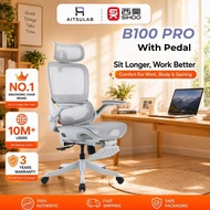 Sihoo B100 Pro Full Mesh Ergonomic Office Chair 3D Headrest Gaming Chair Kerusi Pejabat 西昊人体工学椅