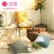 Modern Simple Household Sofa Cushion Cover Solid Color Teddy Velvet Square Pillowcase Without Core 1