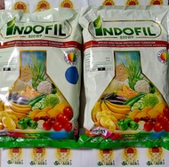 INDOFIL 80 WP BLUE / YELLOW BROAD SPECTRUM FUNGICIDE (KILO)