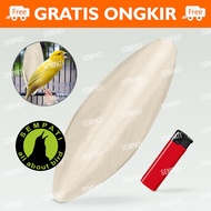 SOTONG UKURAN JUMBO CANGKANG TULANG CUMI KALSIUM IODIUM GARAM MINERAL DLL UNTUK BURUNG LOVEBIRD DLL