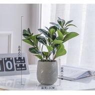 Fiddle fig artificial