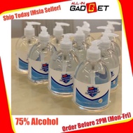 Hand Sanitiser 500ml Gel Or 100ml Spray 75% Ethanol (Alcohol) 免洗杀菌消毒液