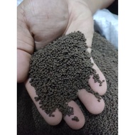 PELLET LOBSTER AIR TAWAR PROTIEN 40%