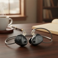 KZ Castor 2DD HiFi In-Ear Earphones, Monitor-Grade Tunable, Noise-Cancelling Earbuds, Deep Bass  KZ 