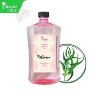 【Karoli卡蘿萊】森林系列 瓷花擴香補充液 1000ml 超高濃度 擴香補充瓶 水竹 擴香竹 藤條 瓷花用