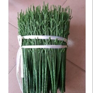 100 branches, 7 branches, 5 branches for flower arrangements