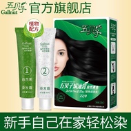 9NN Your Own TP Dye at Home Natural Hair Dye Black New Style Fashionable Popular Color Chestnut Brow