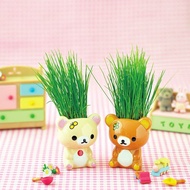 【禮物首選】 Rilakkuma拉拉熊家族 黑麥草髮型植栽盆器