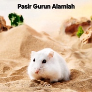 Hamster Natural Desert Sand – Waterless, Anti-Odor and Oil-Resistant Bath