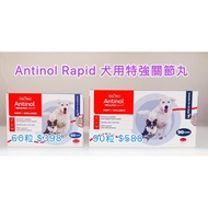 ANTINOL RAPID 特強犬用關節丸 60/90粒