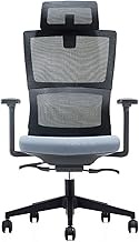 Office Chair Ergonomic Chair Home Dormitory Computer Chair Lift Game Gaming Chair Waist Support Boss Chair Black Nylon feet (Color : Black Gray Nylon Feet)