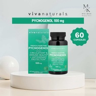 (พร้อมส่ง) Vivanaturals French Maritime Pycnogenol 100mg  60 Capsules