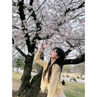 cardigan ribbon cardigan Yellow Soft Waxy Knit Cardigan - Spring 2025 Korean Style