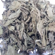 薄荷叶 Dried Mint Leaves (TCM Chinese Herbs 中药材) (TCM Chinese Herbs 中药材)