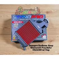 Dynopro Radiator Assy Giorno125 Pcx/Adv/Click160 w/ Cap