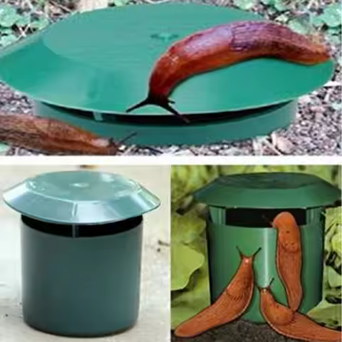 Eco-friendly Snail Cage Slug House Snail Trap Catcher Pests Reject Gintrap Tools Animal Pest Repelle