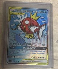 借圖收pokemon 繁中鯉魚王 psa