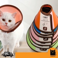 **READY STOCK** Color E-COLLAR ( ELIZABETH COLLAR ) / PROTECTION COLLAR
