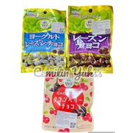 Shoei Delicy Fruit Veil Cacao Cranberry Chocolate 36g Raisin Chocolate 35g Yogurt Raisin Chocolate 3