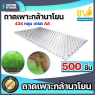 ถาดเพาะกล้านาโยน 434 หลุม แพ็ค 500 ชิ้น ถาดเพาะกล้า ถาดเพาะนาโยน เพาะกล้านาโยน กล้านาโยน ถาดนาโยน ถา