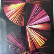 全新 蘋果 Apple ipad pro m1 wifi 灰色...