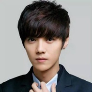 100% Imported Men's Wig Human Hair LL01 (KIM)