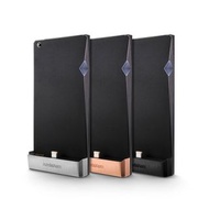 SP1000 AMP