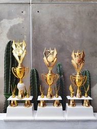 PIALA SET KAKI 2 CUP MIX JUARA 1 2 3 TINGGI J1 62cm