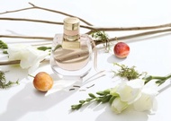 [HCM]Nước hoa chloe nomade eau de parfum 75ml full seal