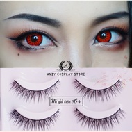 False eyelashes over 5B-4