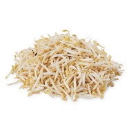 BEAN SPROUT / TAUGEH  300GM