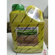 RAINTAZONE 40SL 4L / Racun Keladi Agas