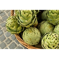 Cynara Scolymus (Artichoke) Leaf Extract (Cosmetic) RM-B005 - 50ml