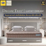 Satin ที่นอน Dream Tree ที่นอนรุ่น Lucky Dream หนา 11 นิ้ว - Satin, Home &amp; Garden