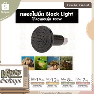 100w Light Bulb Warm Pet