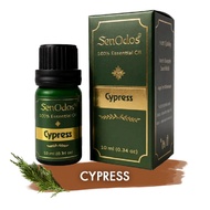 Cypress Pure Essential Oil 10ml.