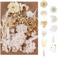 Handmade Flower Material Pack Natural Dried Flower Bouquet Reed Small Bouquet Lunch Box Drawing Boar