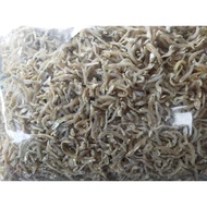 IKAN BILIS MATA BIRU (HALUS) GRED AAA