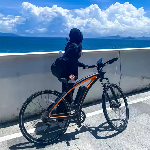 HX A5E electric bike 36V10AH electric bikes Carbon fiber e bike All-terrain Electric bike ebike Elec