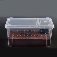 Reptile Small Snake Feeding Box Lizard Tarantula Living Cage Hatching Container for Lizard Gecko Pet
